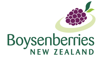 New World logo